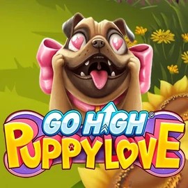 Play Go High Puppy Love slot by RubyPlay on spinolocoo.eu