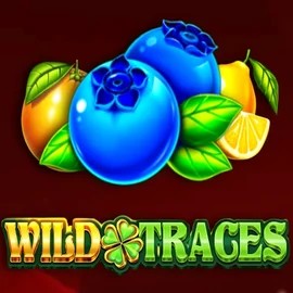 Play the Wild Traces slot by Amusnet Interactive on Spinoloco Casino